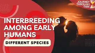 Interbreeding among different species of early humans | Journey Through Time by Debjit Biswas