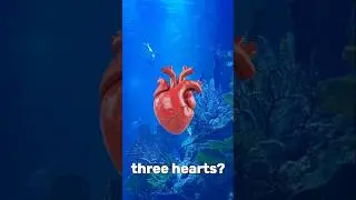 Insane animal facts you won&rsquo;t believe! 🧠🐙#shorts #facts #science #space #animals