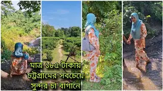 মাত্র ১৮৫ টাকা খরচ করে চলে গেলাম চট্টগ্রামের সবচেয়ে সুন্দর চা বাগানে 😱