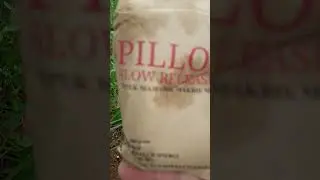 Aplikasi pupuk Eco Farming Pillow Slow Release pada tanaman Cingkeh#Shorts