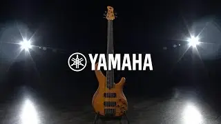 Yamaha TRBX605FM 5-String Bass, Matte Amber | Gear4music demo