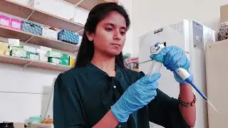 Incubation of streptococcus mutans bacteria || A day in microbiology lab || Ufaq Maria