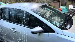 Removing moss algae with claybar. Exterior Auto Detailing and mobile car wash.