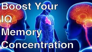 Mindful Connections: Enhancing Focus, IQ, & Memory Through Meditation