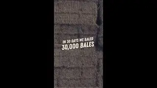 30,000 Large Straw Bales in 30 Days