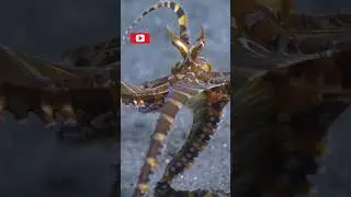Aquatic🔥 beauty 🔥 #aquatic #beauty #youtubeshorts