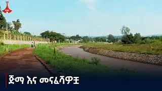ጅማ እና መናፈሻዎቿ   Etv | Ethiopia | News zena