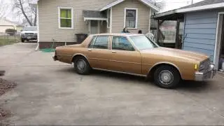 Low Obsession Lowrider c.c