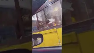 Toll Plaza Worker Sleeping Peacefully At Punjab Motorway 😂