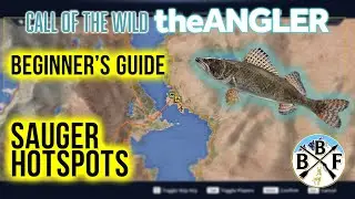 Руководство для начинающих: места ловли согера | Зов дикой природы: theAngler