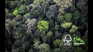 FSC Malaysia video (2018)