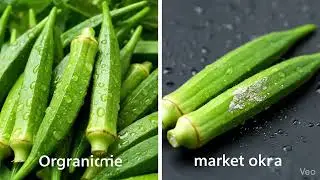 Okra 🥒 Organic vs Market | Health Benefits Explained | Nature&rsquo;s Fresh