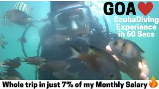 GOA Scuba Diving Experience in 1 Minute | I Don't do Vlogs | Arindam Roychoudhury Vlogs | #shorts