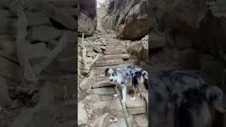 Stone Door Trail, Savage Gulf State Park