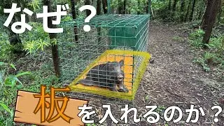 コンパネ板と電気止め刺し機を使ってイノシシ捕獲を効率的に行う！