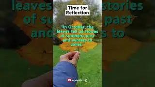 OCTOBER QUOTES!!! Time for Reflection #quotes #quoteoftheday #october #poetry #anonymous