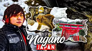 I Explored Japan's HIDDEN World War 2 Era Tunnel and Snow Monkey Mountains in Nagano! ⛩️🇯🇵