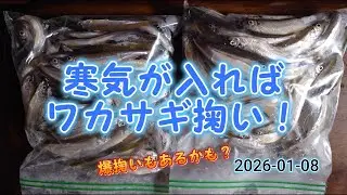 寒気が入ればワカサギ掬い！