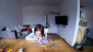 LEGO Friends #41089 TimeLapse