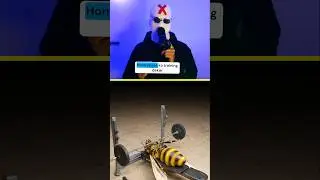 HONEYBEE ❌ BODYBUILDER ✅#honeybee #honeybees #bodybuilding #shorts #shorts #short #viral #trending