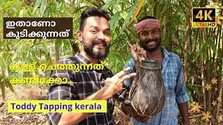 Toddy Tapping method in kerala |||കള്ള് ചെത്ത്‌ അറിയേണ്ടതെല്ലാം 🥰🥰😍😍4k @VillageRealLifebyManu