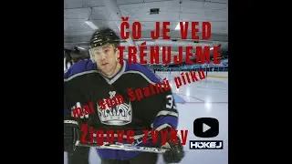 Historky Žigmunda P&aacute;lffyho z L A KINGS a N Y  Islanders