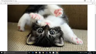 Image Responsive Slider in Asp.Net