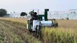 KAM Mini Combine Harvester 25HP (PADDY )#harvest #harvester#farmer #farming #agriculture #hardwork 