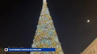 Luci e albero accesi, ecco l'atmosfera che serve al Natale di Avellino