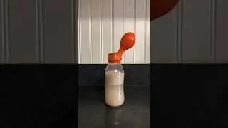 yeast, sugar, and water blowing up a balloon