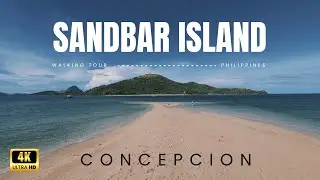 Philippines Hidden Gem | Sand Bar Island Walk in Concepcion, Iloilo #travelphilippines