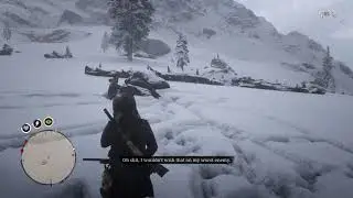 Red Dead Redemption 2 - Saving Tuckers friend, The Hunter from grizzly bear.