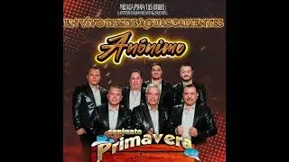 Conjunto Primavera - An&oacute;nimo ( En Vivo Desde Aguascalientes 2024 )
