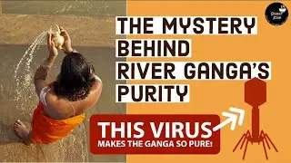 The Mystery of River Ganga's Purity - a scientific explanation