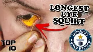 Top 10 Dumbest World Records