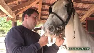 Konji ponovo jure ep. 1368 22.03.2024.