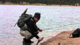 Lakers on the Fly