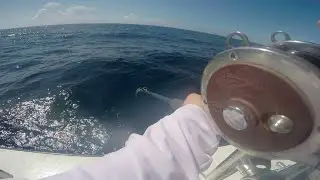 Snapper Madness on Southern Comfort Fishing Charters