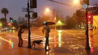 Santa Barbara Flooding After Intense Rain