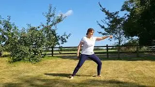 Qigong for Stomach, Spleen & Pancreas