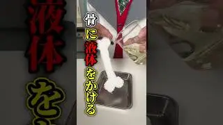 骨を溶かす薬品作ってみた！実際にかけてみる