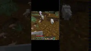 I Wish I Was A Queen - Heart of Gold UHC (Minecraft 1.16.5) #Shorts
