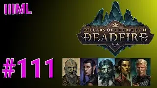 It Is In My Library - Pillars of Eternity II: Deadfire Episode 111
