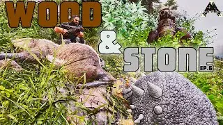 Wood & Stone // Ark Survival Ascended Ragnarok Max Level Tame Challenge Playthrough (Episode 6)