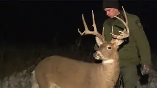 What does it take to catch a night hunter?