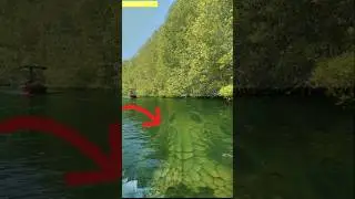 Ular terbesar di dunia dibawah sungai Amazon