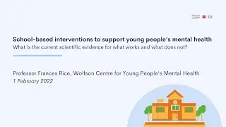 School-based interventions to support young people&rsquo;s mental health