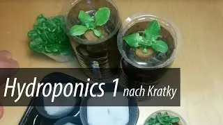 Hydroponics 1 - nach Kratky - mit Infos zu Pflanzenlampe und Dünger