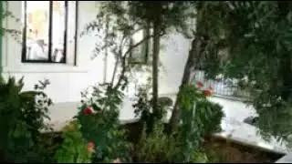 من حلقات الذكر في الكلتاوية