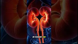 No Pain? Your Kidneys Could Still Be Damaged